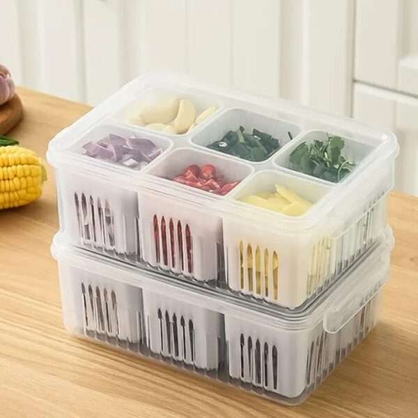Refrigerator Storage Box 6 Grid Food Vegetable Fruit Storage Box  (only one Piece)